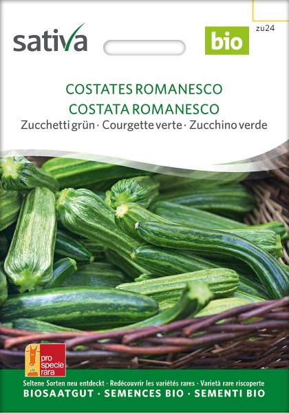 BIO Saatgut Zucchini Costates Romanesco