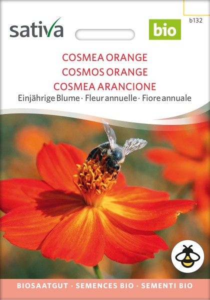 BIO Saatgut Cosmea orange