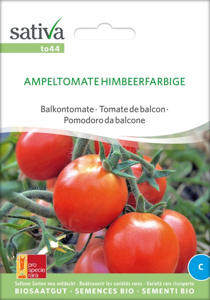 BIO Saatgut Balkontomate Himbeerfarbige Ampeltomate