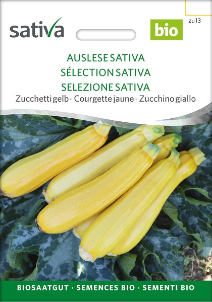 BIO Saatgut Zucchini Auslese Sativa