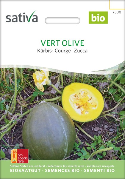 BIO Saatgut Kürbis vert olive