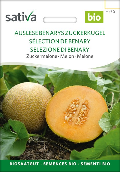 BIO Saatgut Melone Auslese (Benarys Zuckerkugel)
