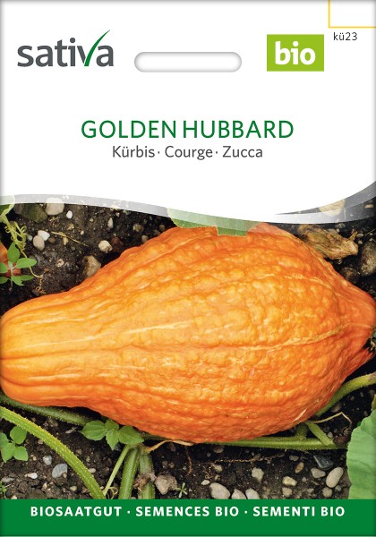 BIO Saatgut Kürbis Golden Hubbard