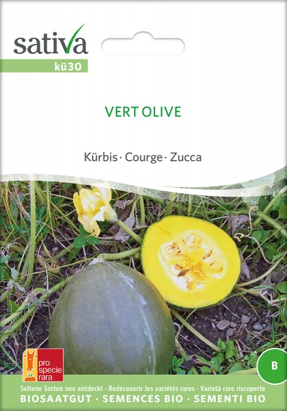 BIO Saatgut Kürbis vert olive